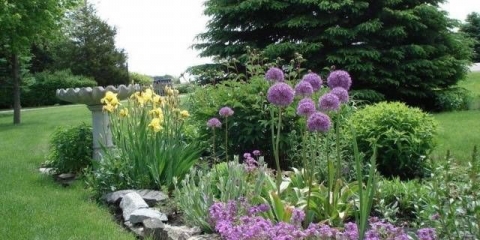 Mješavina niskih višegodišnjih cvjetnih koktela: šta je uključeno